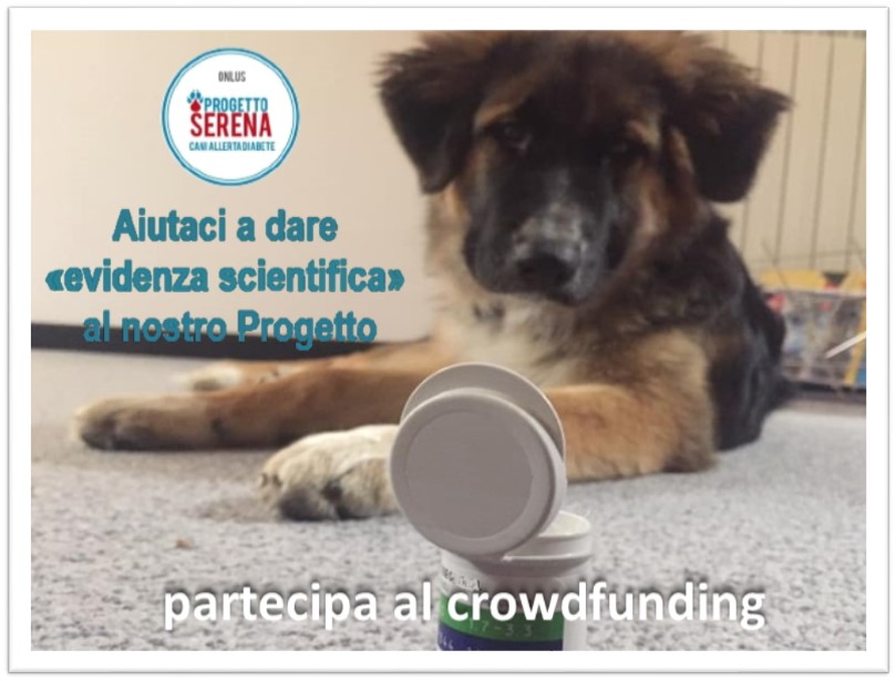 Progetto Serena Onlus   Cani allerta DIABETE
sperimentazione scentifica