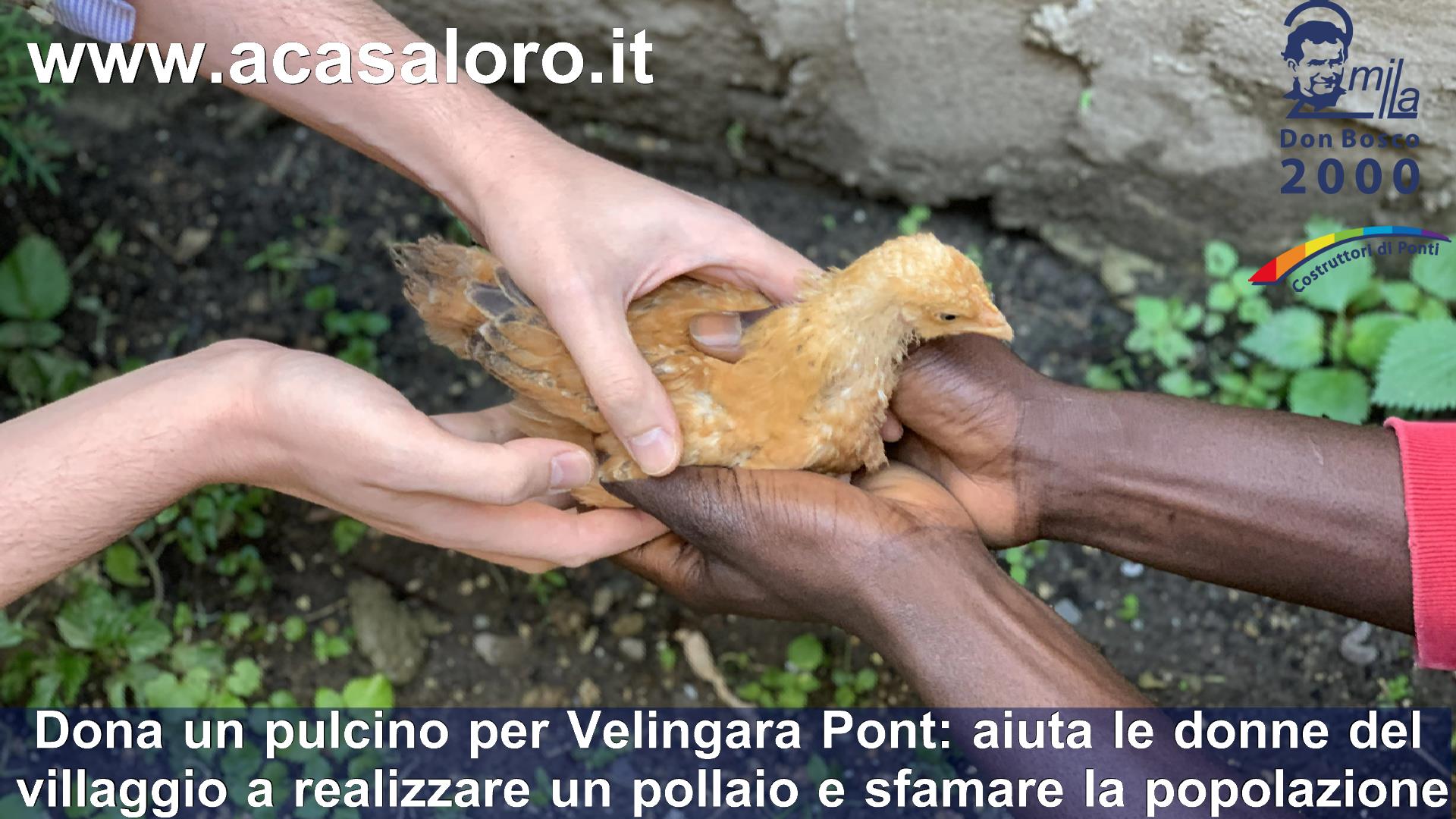 Un pollaio per Velingara Pont