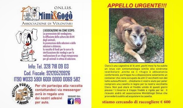 REGALIAMO UNA CASETTA IN LEGNO PER LA VECCHIETTA CLARA REGALIAMO UNA CASETTA IN LEGNO PER LA VECCHIETTA CLARA