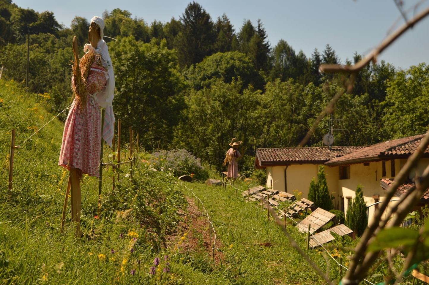 Un giardino di biodiversità per la Vittoria's Farm