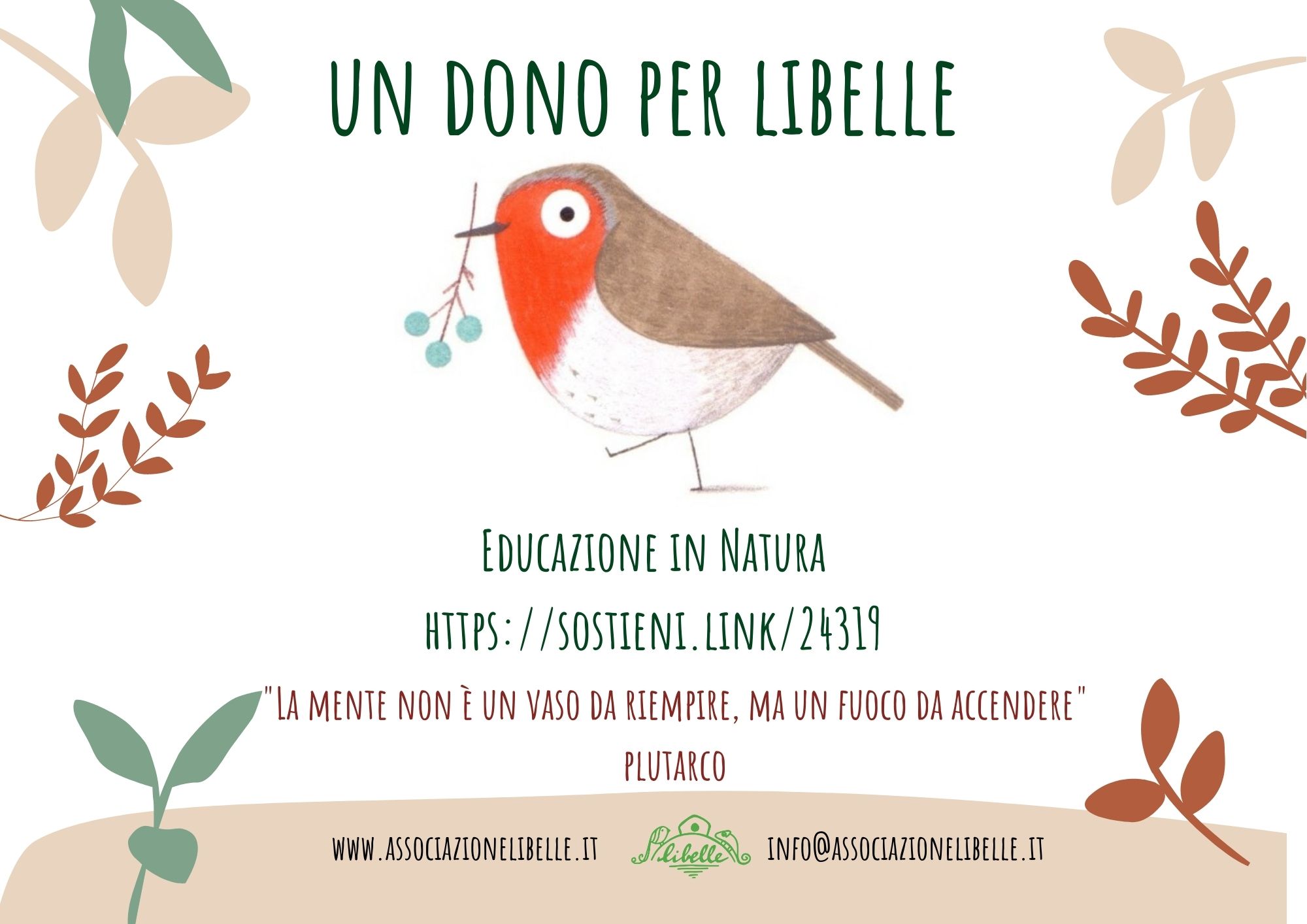 Un dono per Libelle