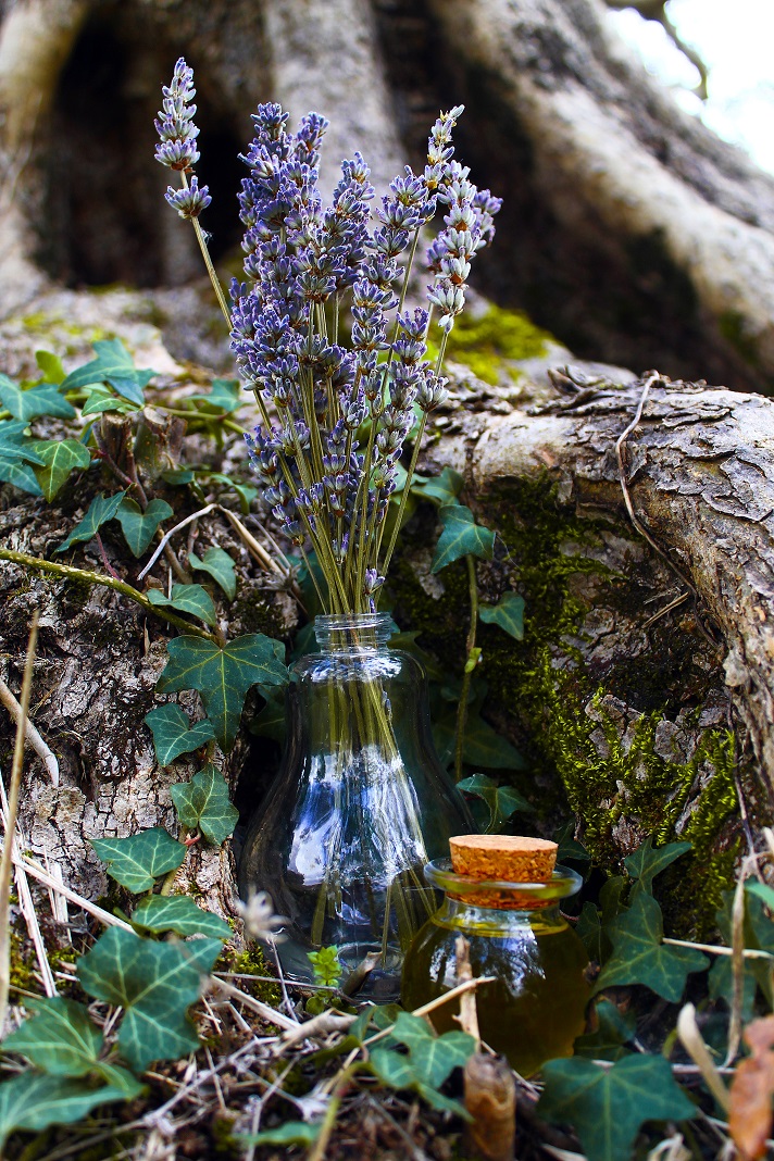 La Lavanda & L'Alambicco