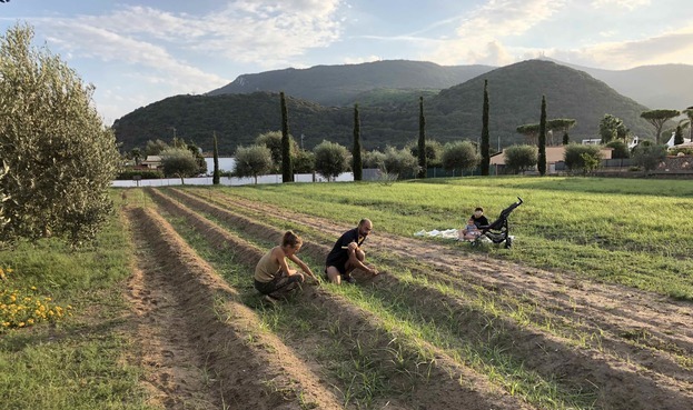 ZAFFERANO del CIRCEO