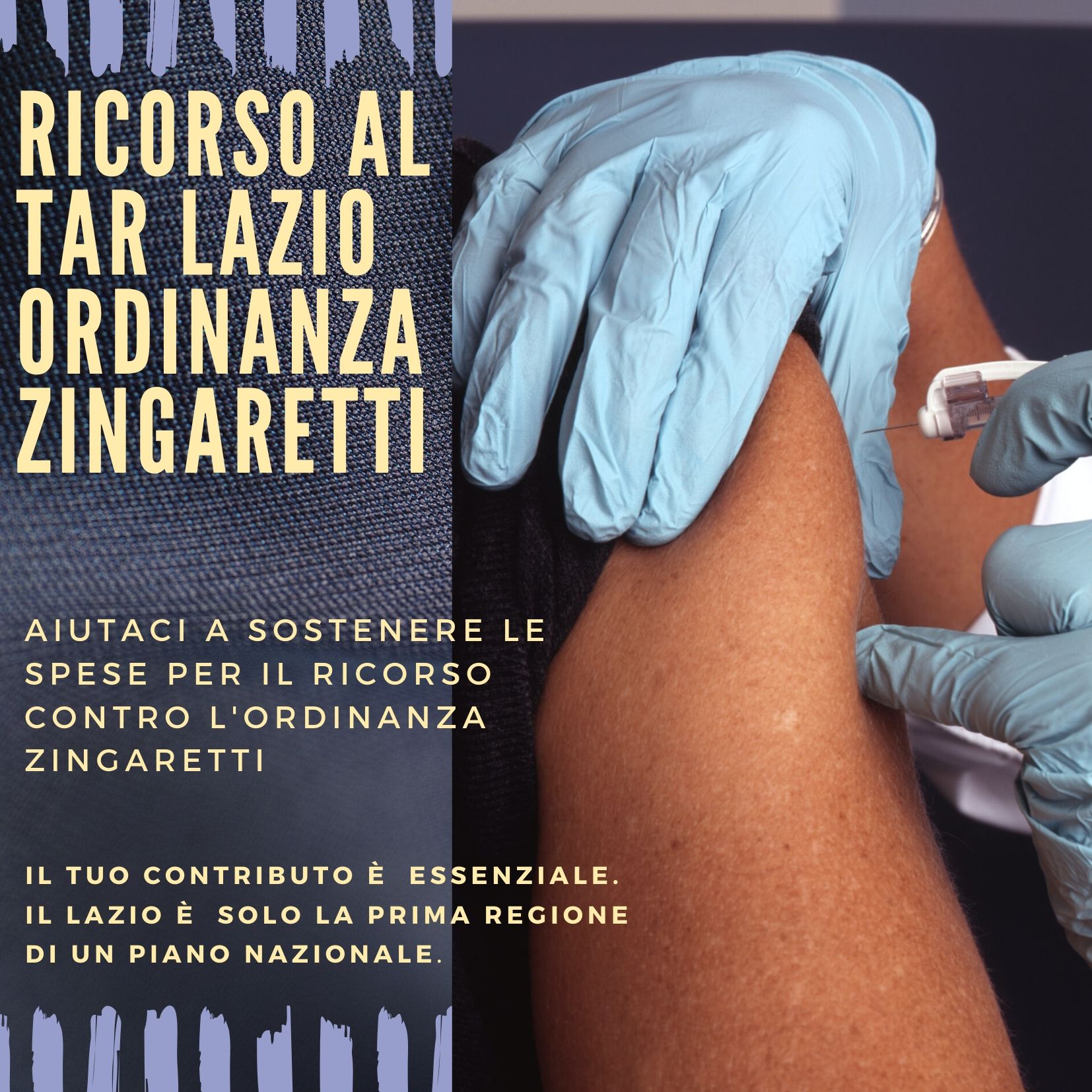 AIUTACI A SOSTENERE LE SPESE PER IL RICORSO CONTRO L'ORDINANZA ZINGARETTI