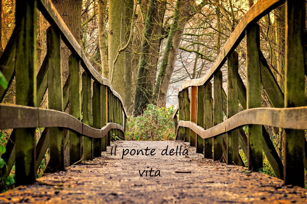 Il Ponte della vita
