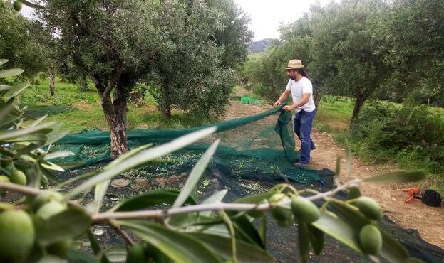 Un trattorino per Mamai Manna