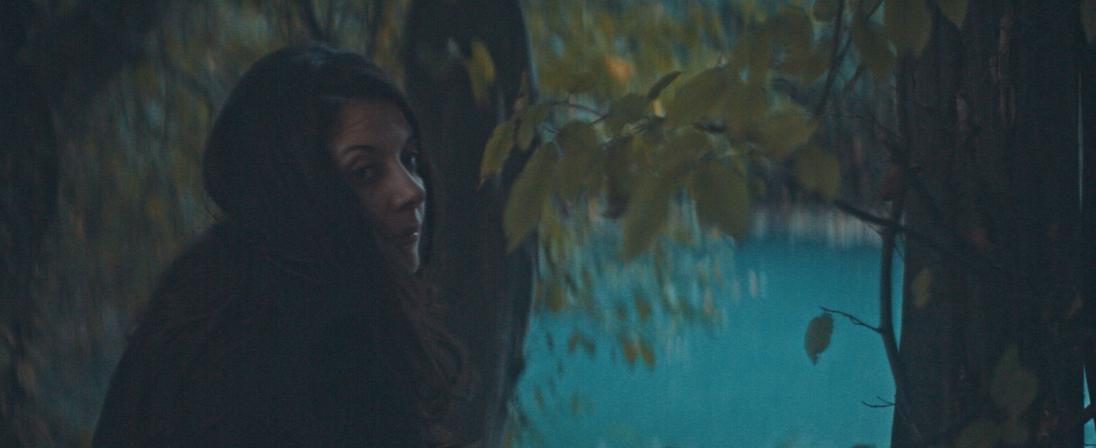 The wood live performance chapter 2 The wood live performance chapter 2