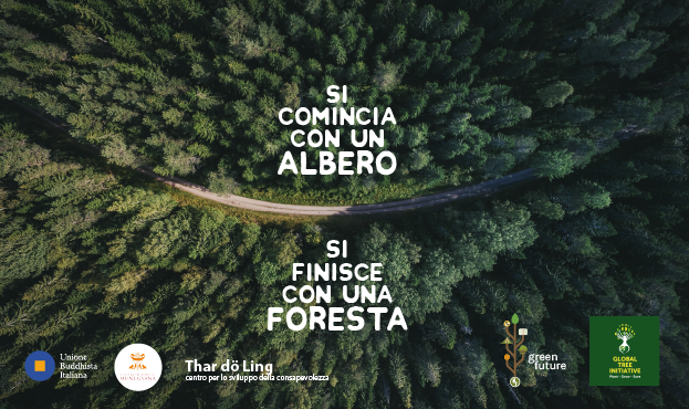 Si comincia con un albero si finisce con una foresta