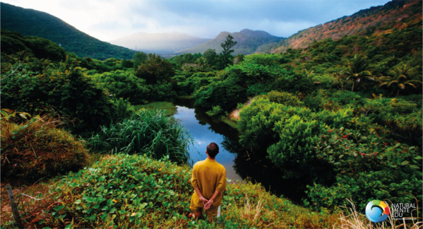 PROGETTO NATURALMENTE EDU 
“VIVI (LA) NATURA”
PER UN BENESSERE EQUO E SOSTENIBILE