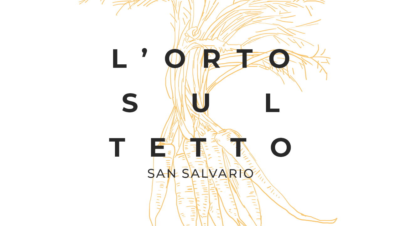 Il tuo Orto sul Tetto di San Salvario