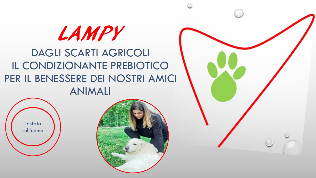 LAMPY
il condizionante prebiotico testato sull'uomo