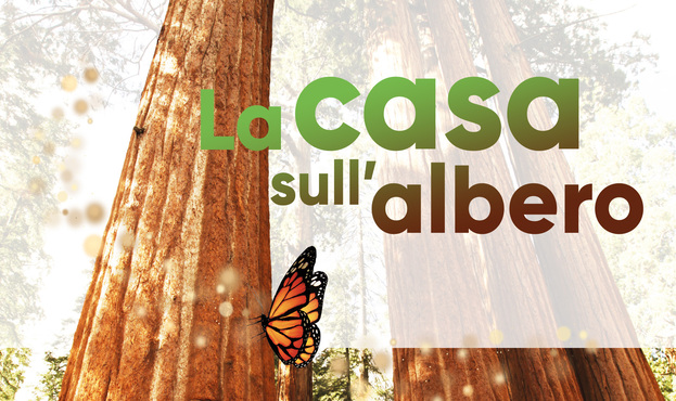 LA CASA SULL'ALBERO LA CASA SULL'ALBERO