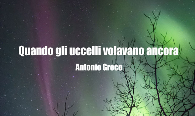 Quando gli uccelli volavano ancora - Romanzo