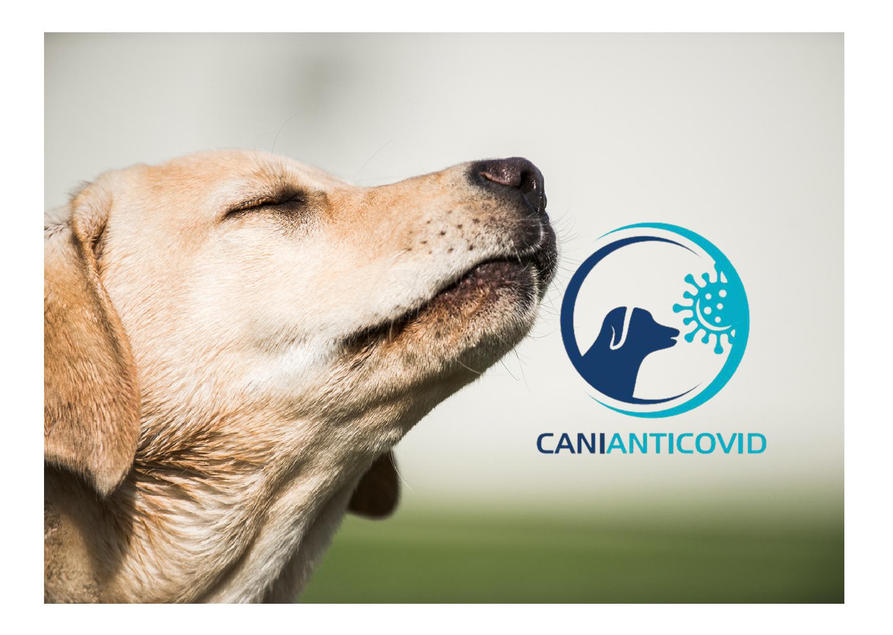 “C19-screendog” Cani Anti Covid - 
Studio multicentrico per l’utilizzo di cani che rilevano il covid 19