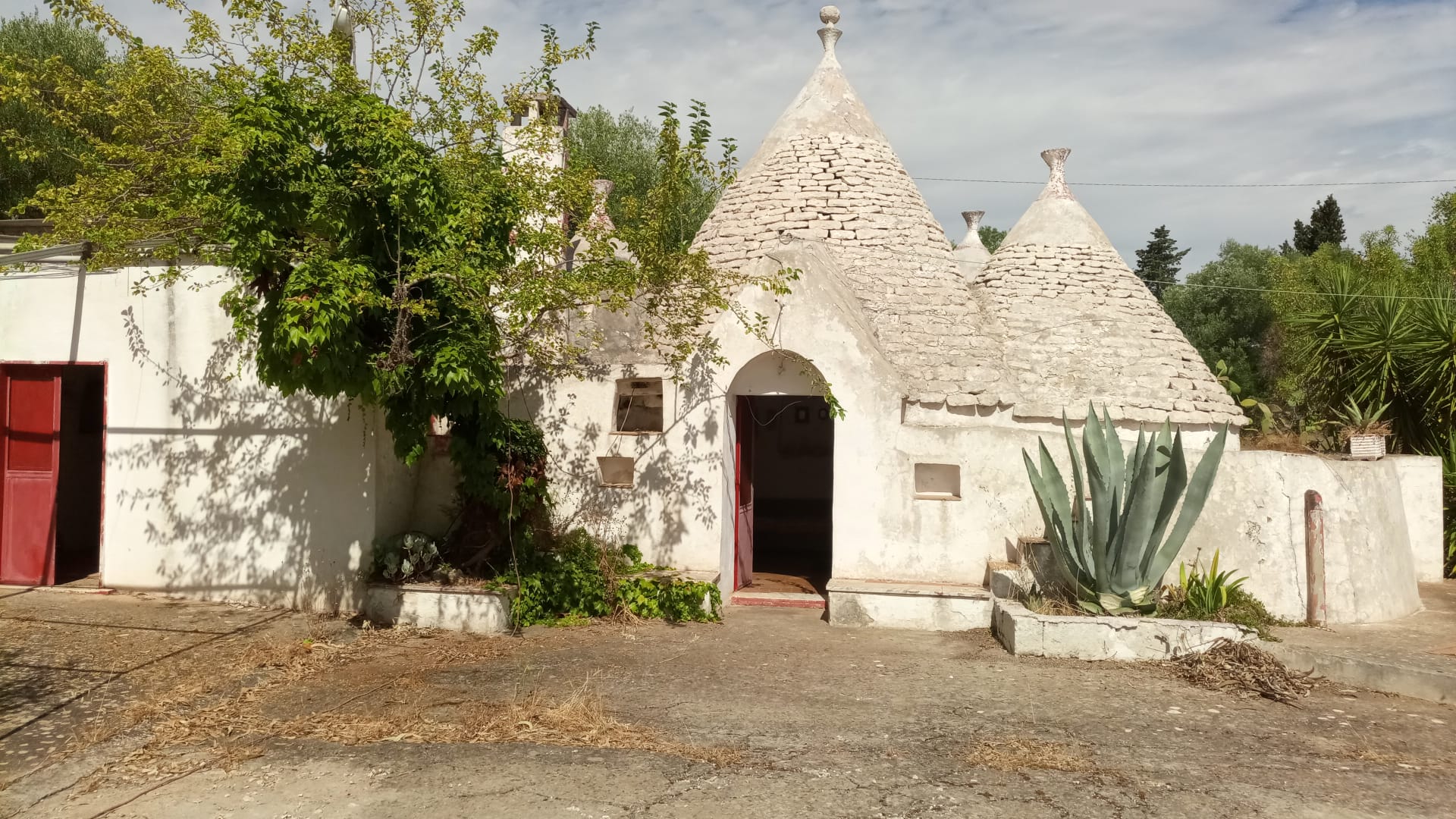 Ho Un Sogno.. Realizzare un'Azienda Agricola Ecosostenibile con B&B Nel Trullo di Famiglia