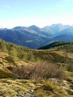 PULIZIA SENTIERI PIZTRI PULIZIA SENTIERI PIZTRI