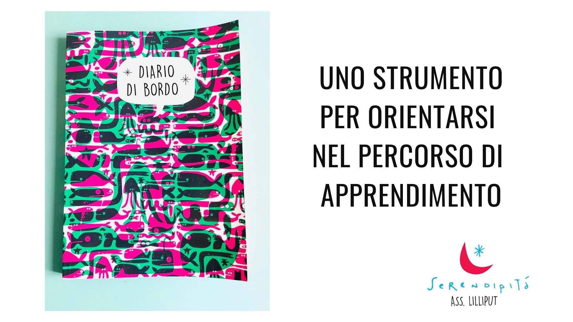 DIARIO DI BORDO E STRUMENTI DINAMICI