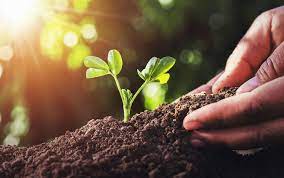 agricoltura biotech