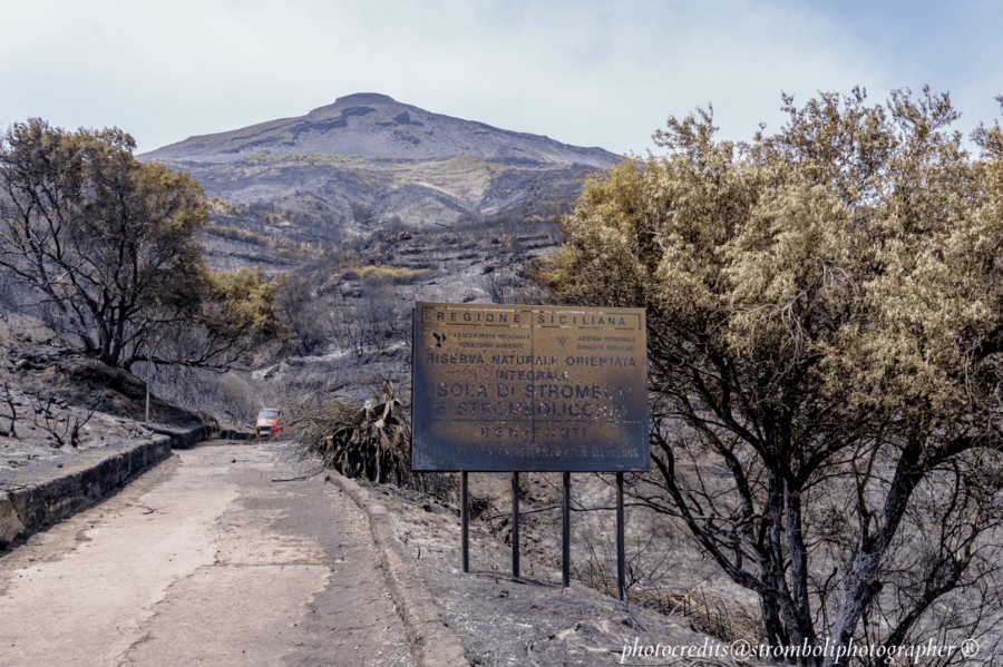 Stromboli: coltiviamo un'idea