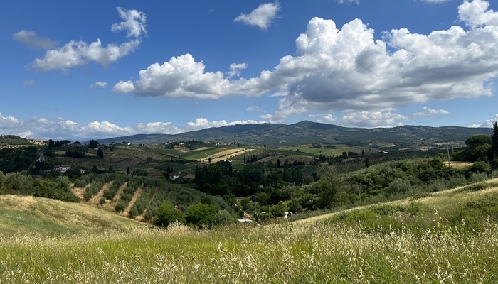 Adotta un Olivo a Vinci,
sostienimi nel salvaguardare il territorio