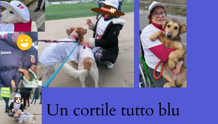Pet therapy insieme: un cortile tutto blu