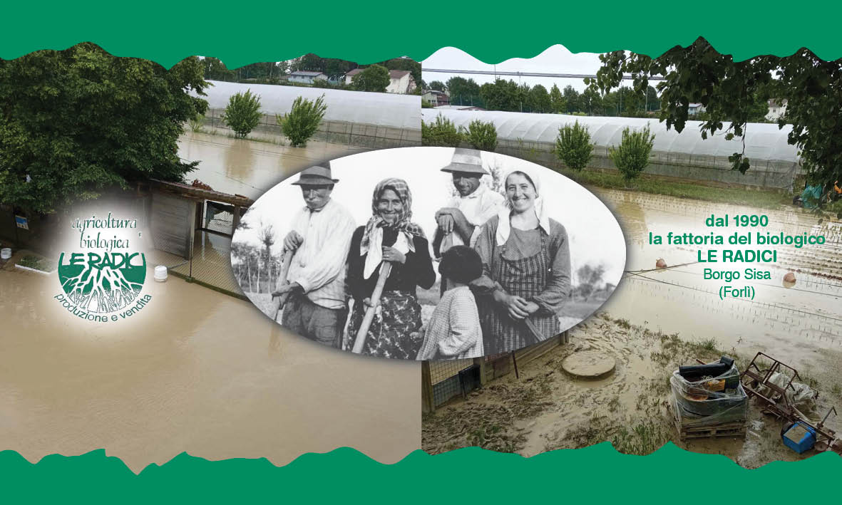 Ripartiamo dopo l'alluvione in Romagna