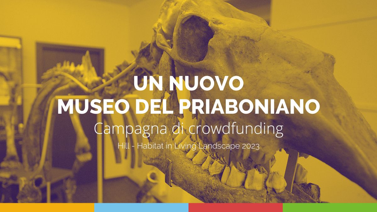 Un Nuovo Museo del Priaboniano