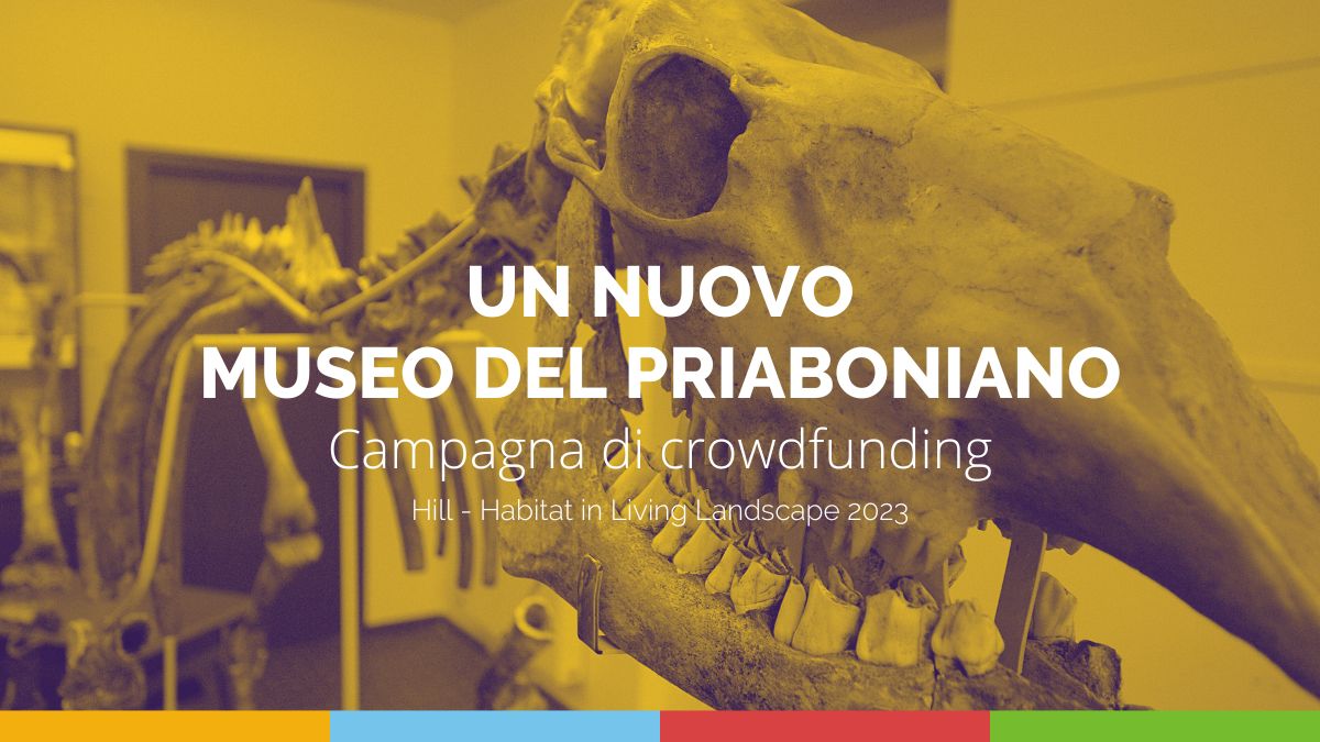 Un Nuovo Museo del Priaboniano