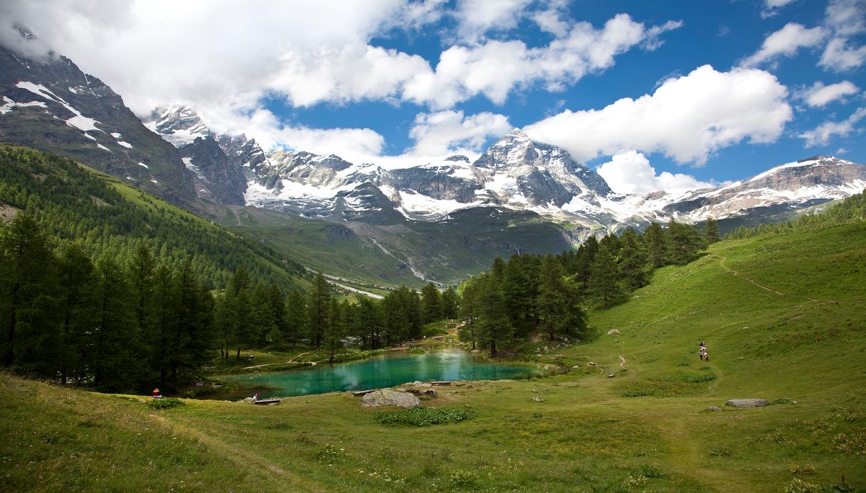 Aiutami a realizzare questo progetto / Help me make this project happen