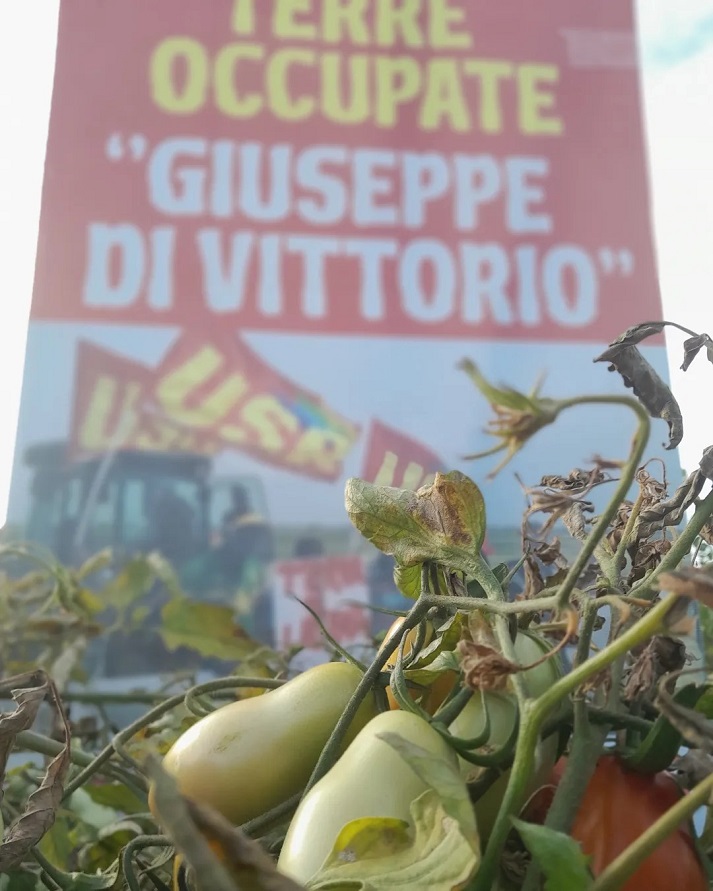 Sostieni la lotta dei braccianti, acquista la passata di pomodoro "Terra e Libertà"