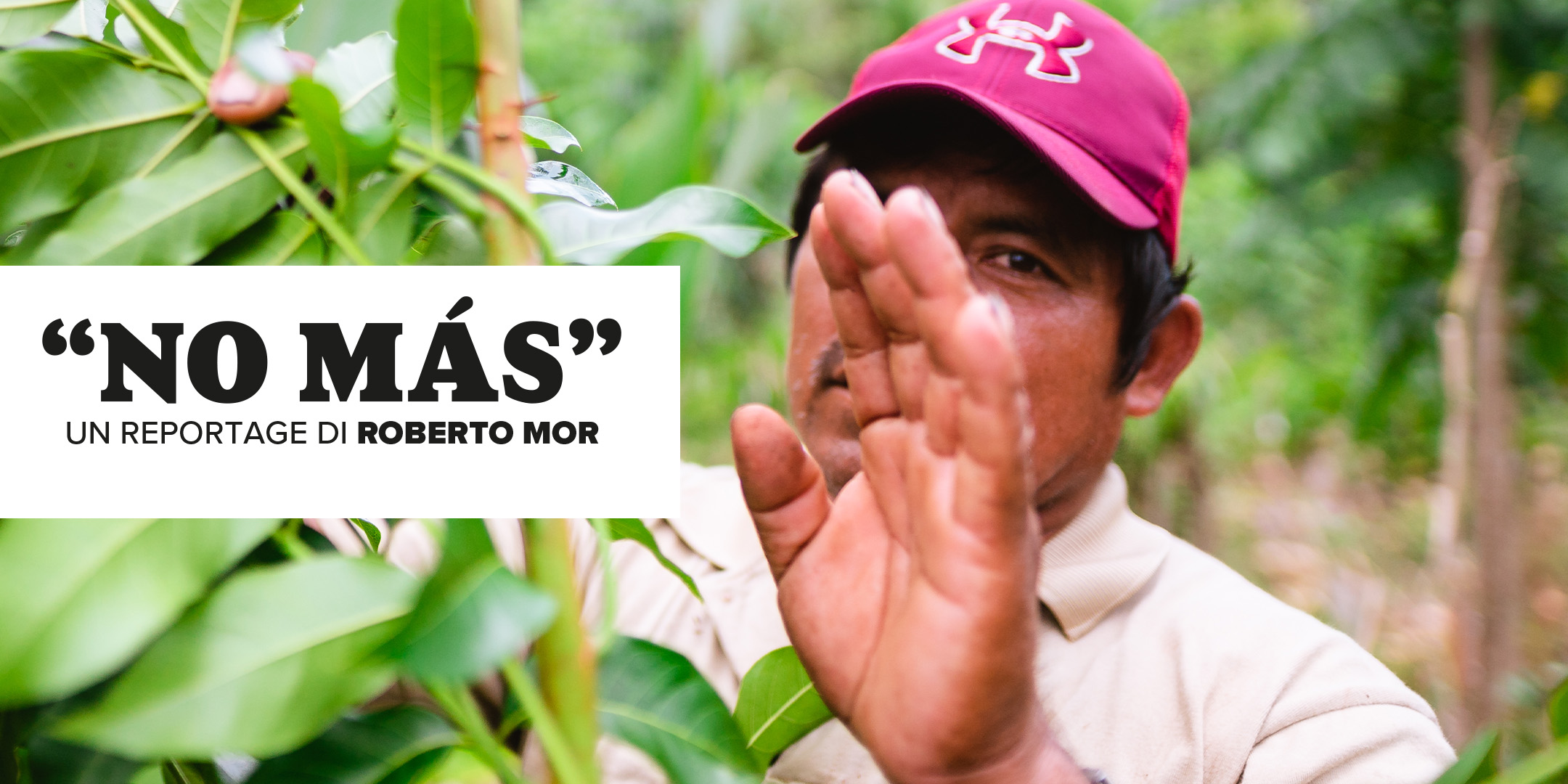 "No Màs" - Una mostra per sostenere la riforestazione