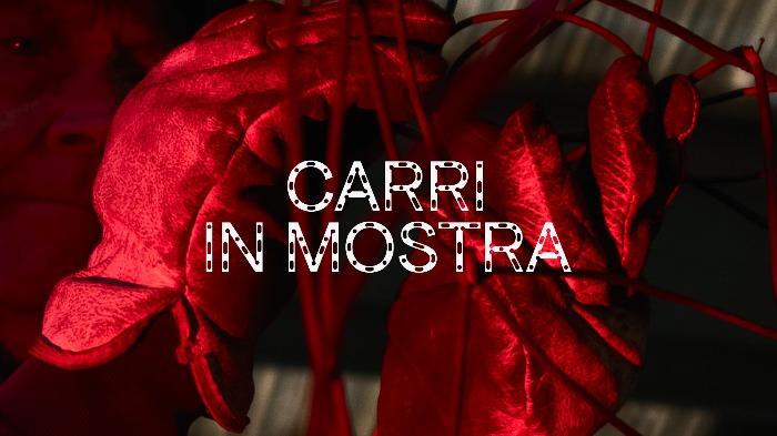 Carri in Mostra