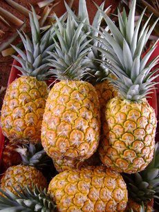"Coltiviamo un futuro migliore: aiutaci a creare una piantagione di Ananas in Repubblica Dominicana"
