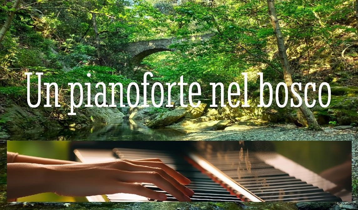 Un pianoforte nel bosco