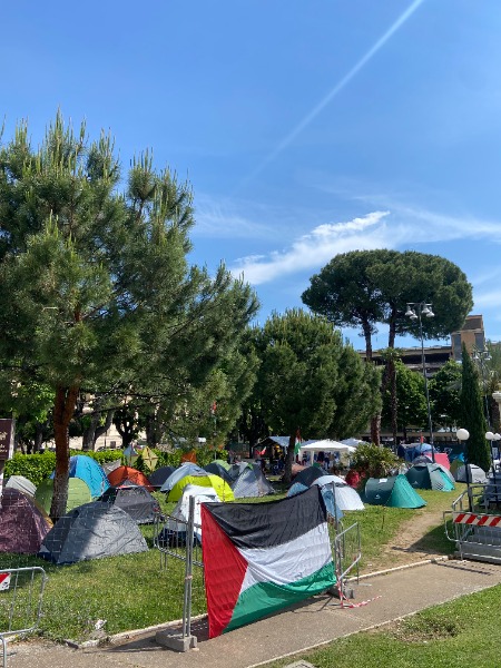 Assemblea nazionale studentesca per la Palestina
