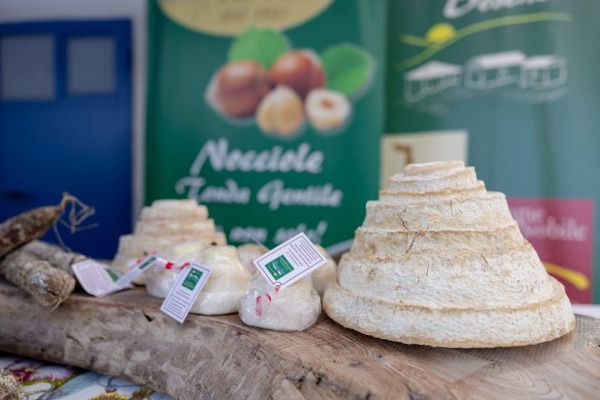 Facciamo rinascere cascina Boschetto