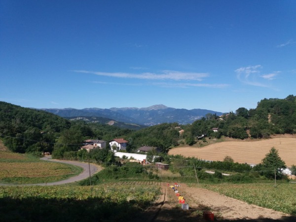 Coltiva il cambiamento: partecipa all'agricoltura sostenibile di Fattoria la Fonte