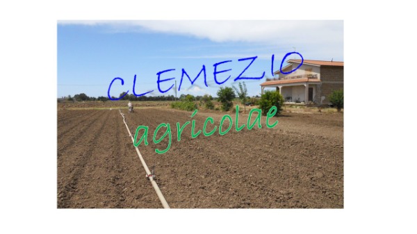 Epiantala un nuovo polmone verde di 4 ettari