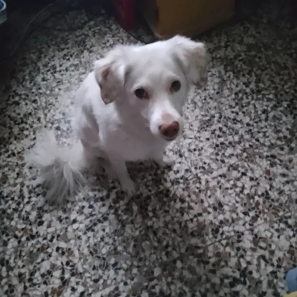 Riaccendiamo la luce