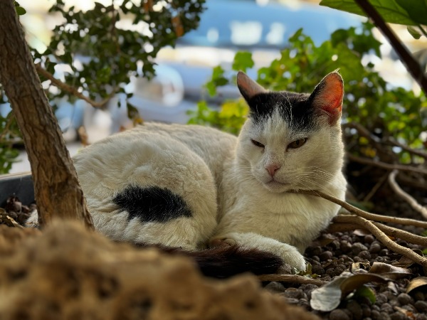 Un nuovo volto ad un luogo storico