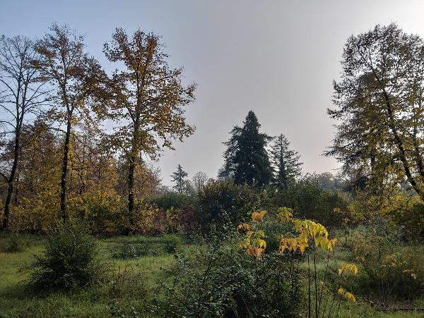 Il Bosco Ospizio resiste: aiutaci a difendere chi lo difende!