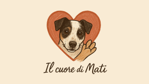 Il rifugio per animali: una casa per chi non ha voce