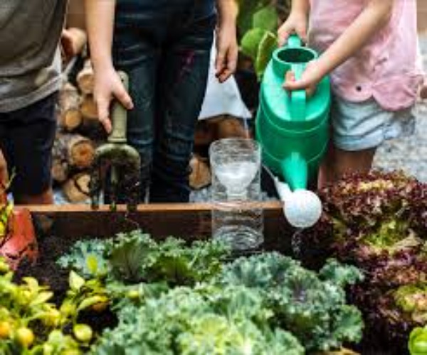 RiforestiAmoMI Progetto di acquisto e riforestazione di zona agricola al Parco Sud