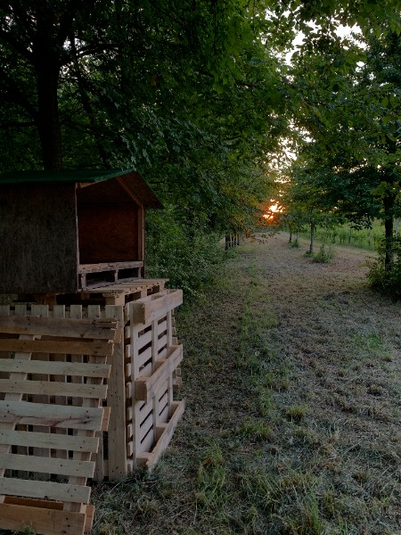 Aggiungiamo un Nido al Bosco