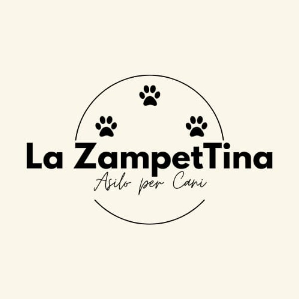 Aiutaci a realizzare un asilo sicuro e accogliente per i cani