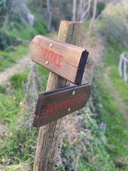 La vita dei territori