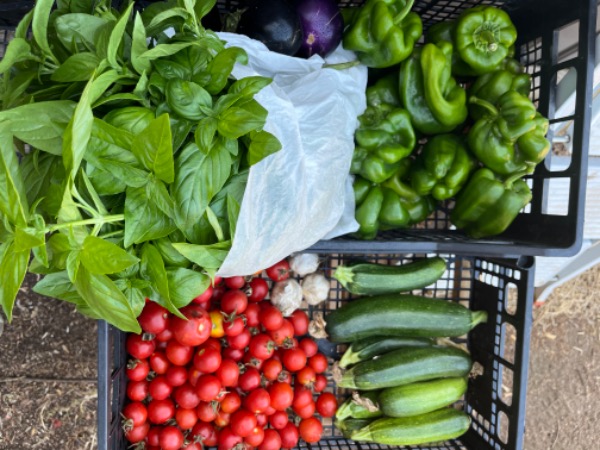 Dona speranza a chi crede in un’agricoltura vera, sostenibile e innovativa
