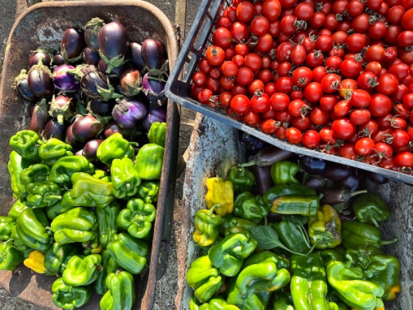 Dona speranza a chi crede ad un’agricoltura vera e sostenibile