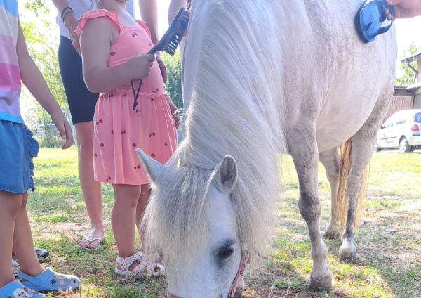 Partecipa alla costruzione di spazi formativi Montessori per i più piccoli