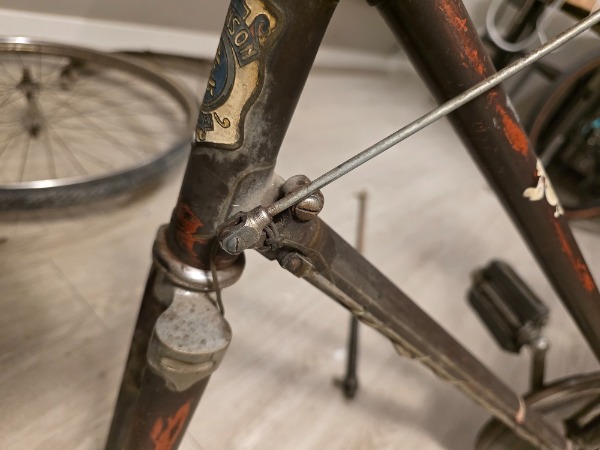 Dona per far rivivere le glorie del passato. Officina bici da corsa vintage